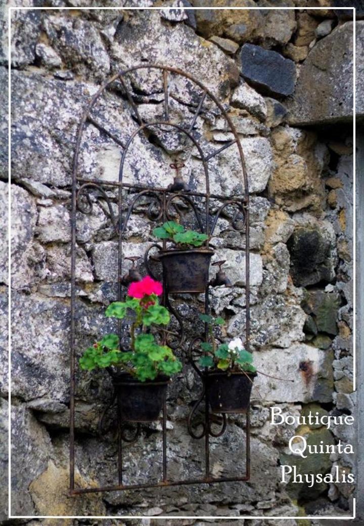 Apartmán Boutique Quinta Physalis Fenais da Luz Exteriér fotografie