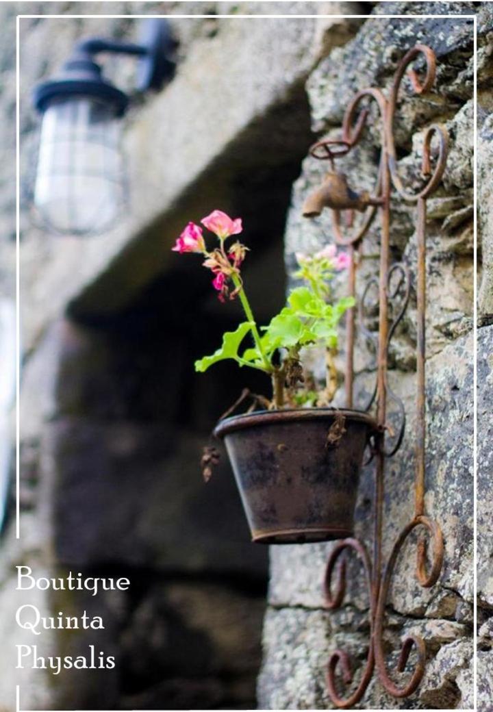 Apartmán Boutique Quinta Physalis Fenais da Luz Exteriér fotografie