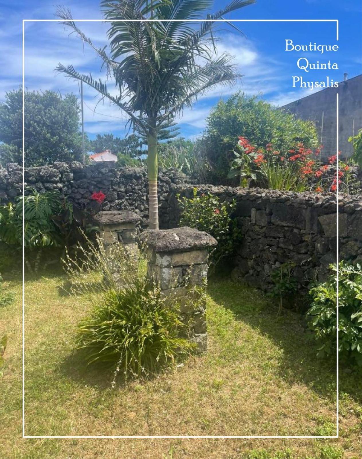 Apartmán Boutique Quinta Physalis Fenais da Luz Exteriér fotografie